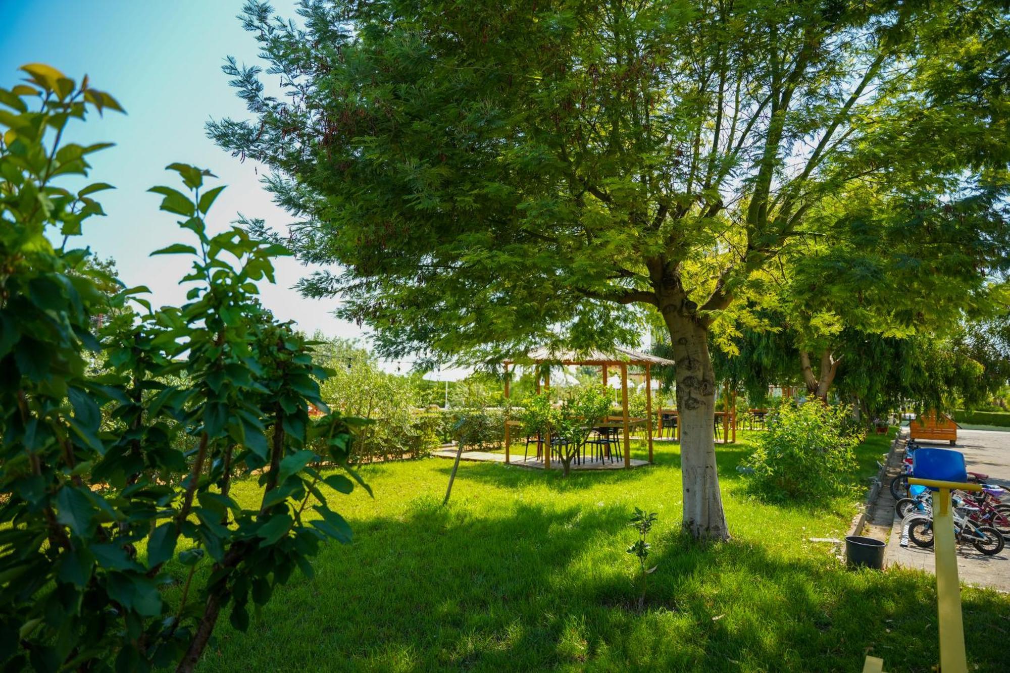 Paradise Laguna Vain Lezhë Екстериор снимка
